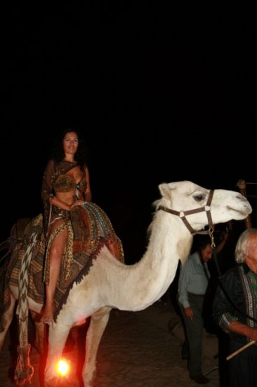 mariage marocain chameau à toulon dans le var